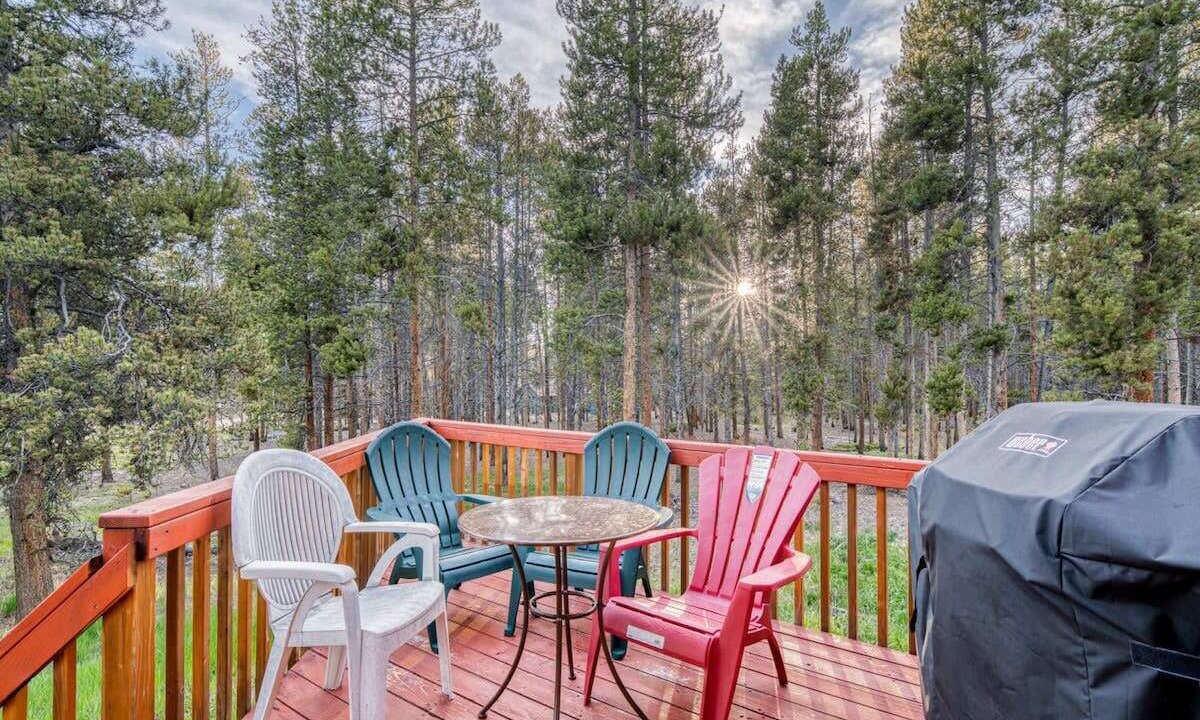 Photo of Others in Leadville North