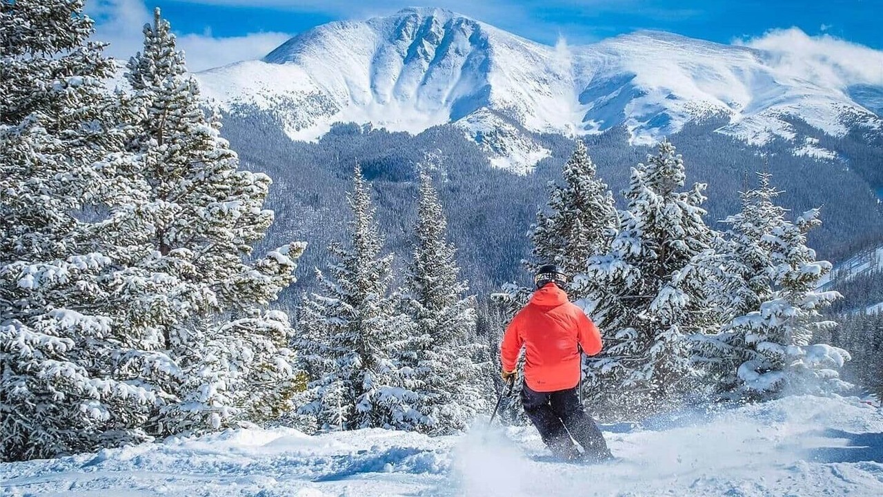 Photo of Others in Fraser