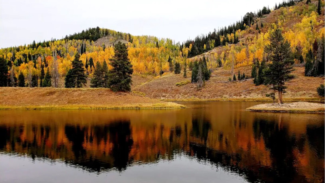 Photo of Outdoor in Clark