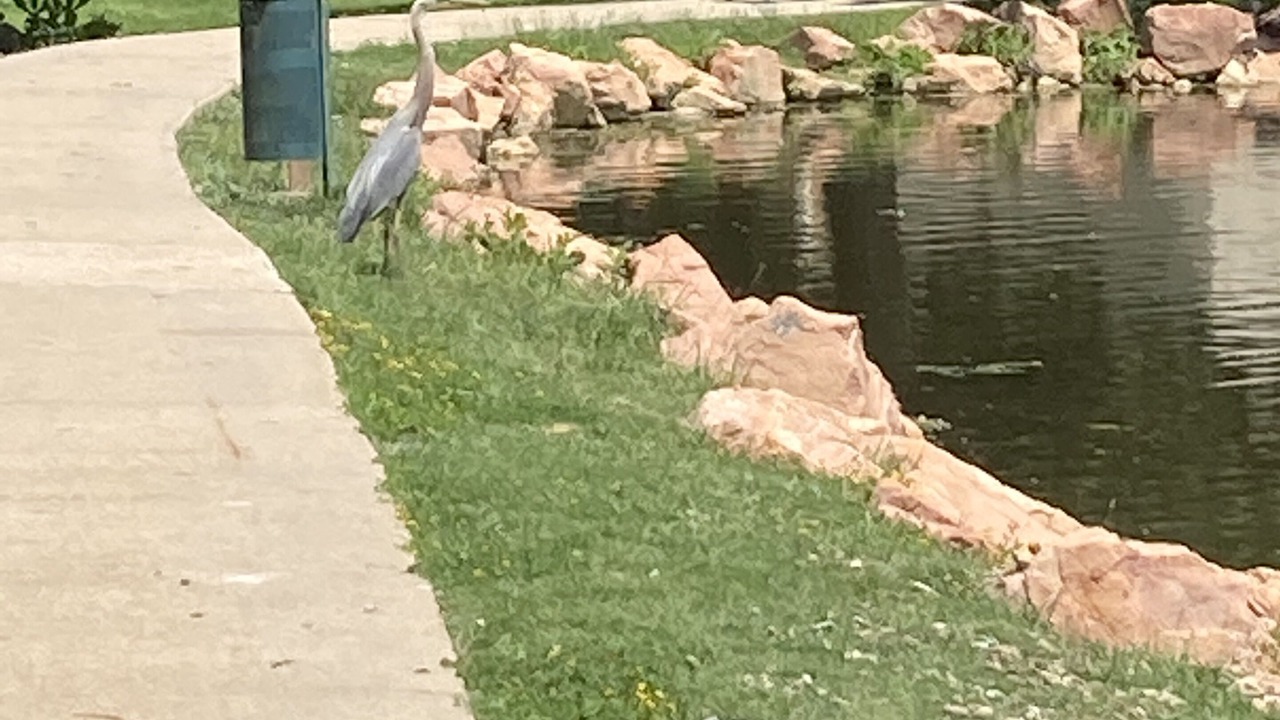 Photo of Outdoor in Martin Acres