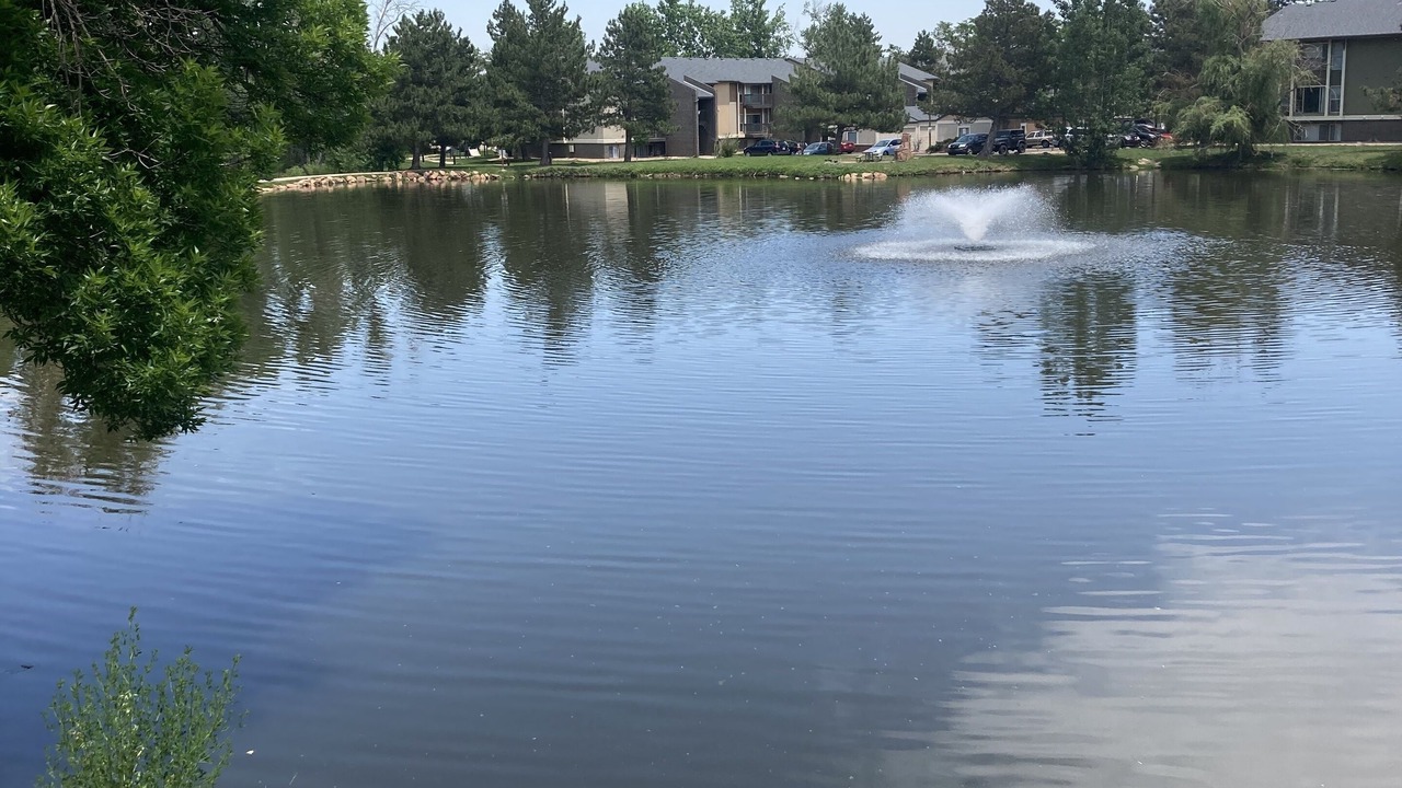 Photo of Others in Martin Acres
