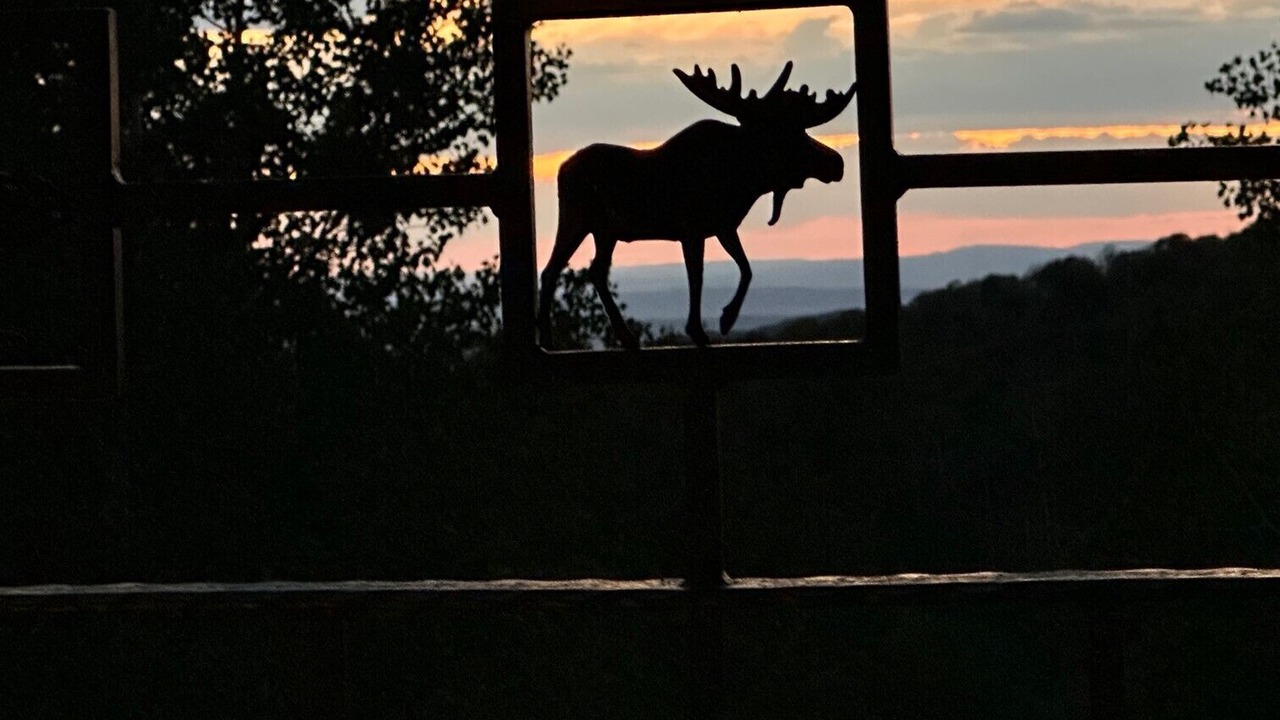 Photo of Others in Craig