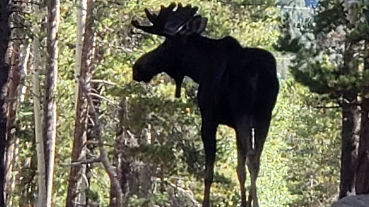 Photo of Others in Evergreen