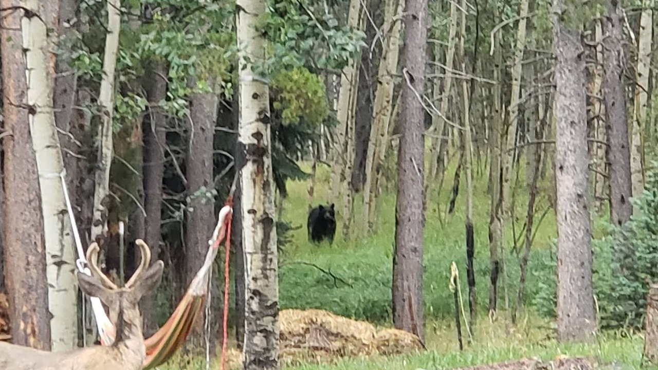 Photo of Others in Evergreen