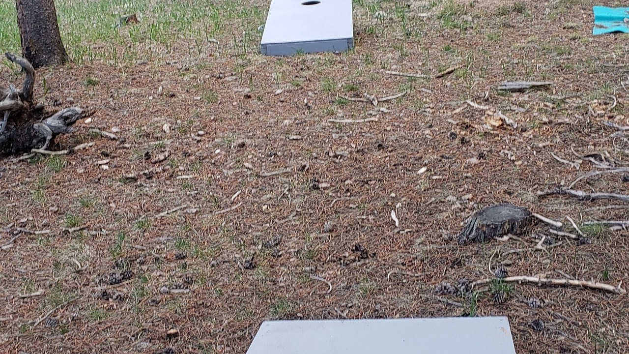 Photo of Others in Evergreen