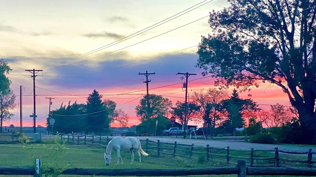 Photo of Outdoor in Montrose