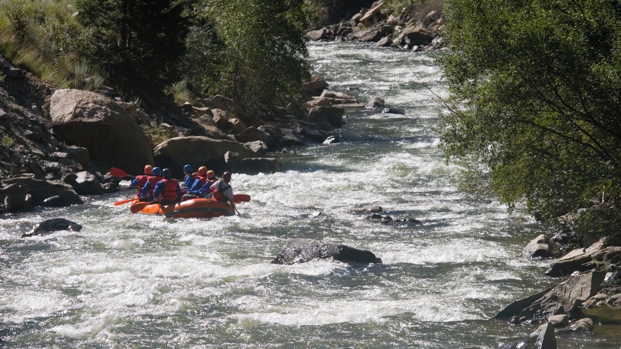 Photo of Others in Fraser