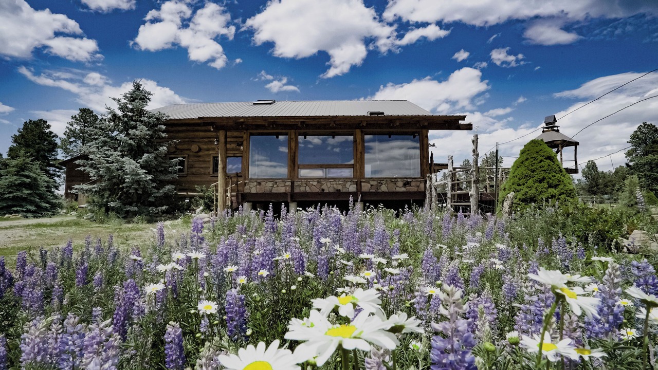 Photo of Others in Mancos