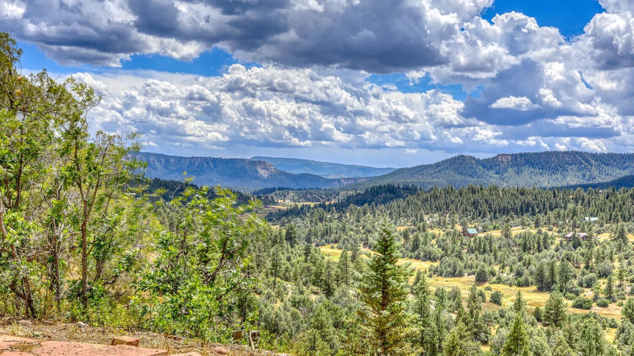 Photo of Outdoor in Pagosa Meadows IV