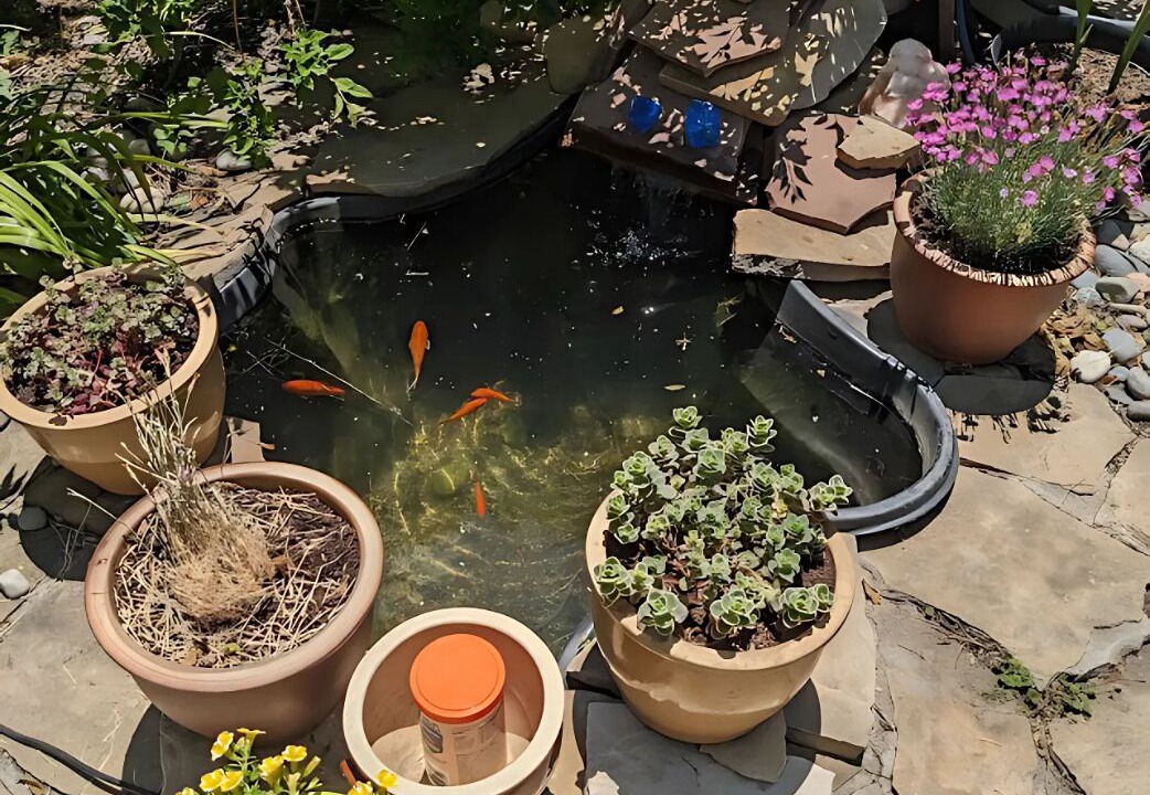 Photo of Outdoor in Colorado Springs