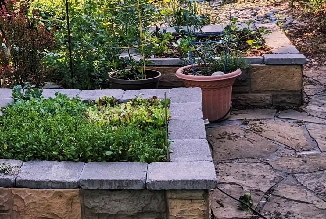 Photo of Outdoor in Colorado Springs