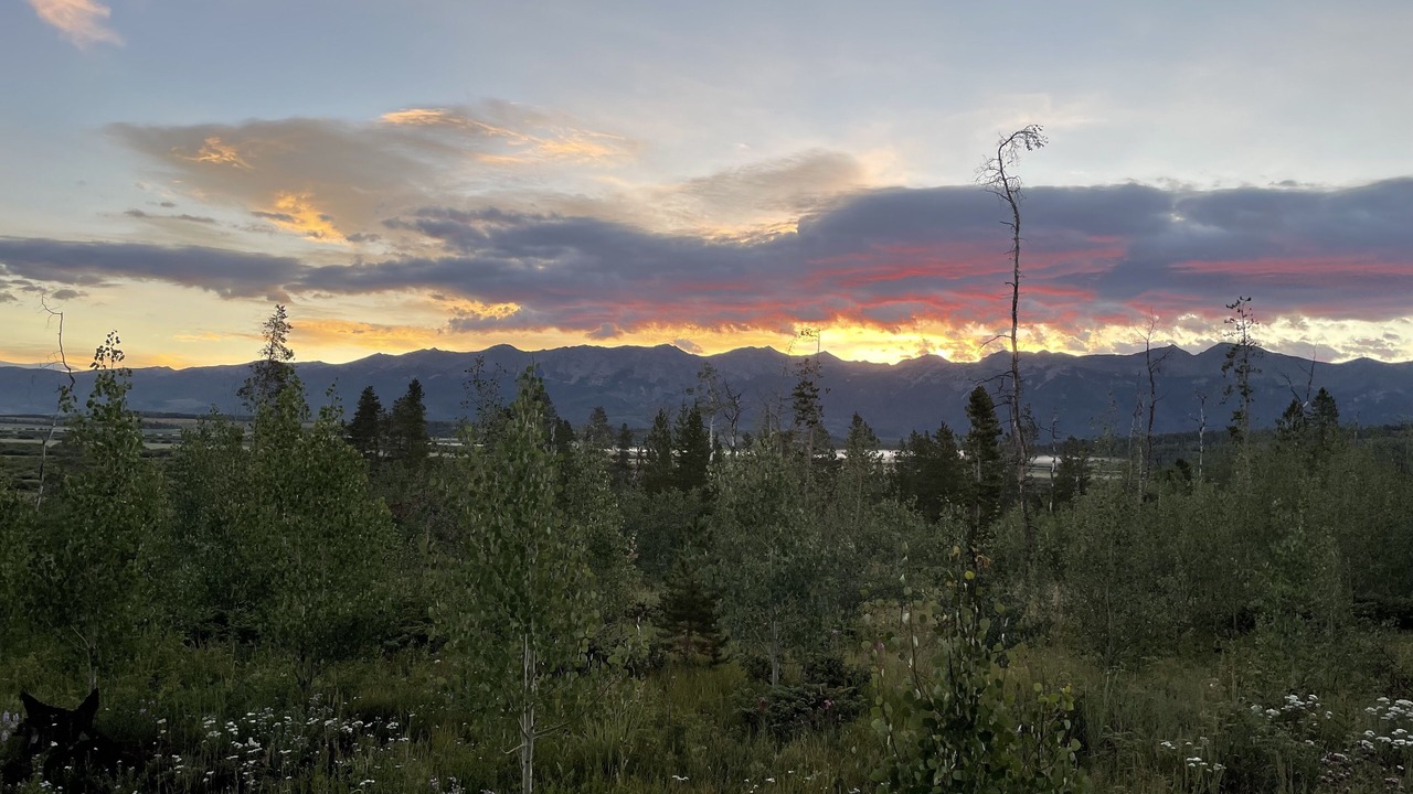 Photo of Outdoor in Walden