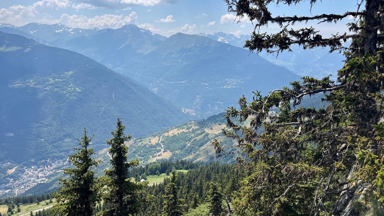 Photo of Others in Great Alpine Road