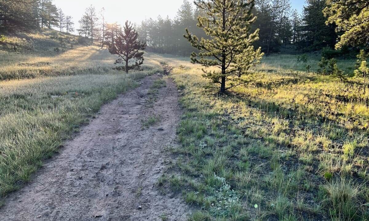 Photo of Outdoor in Lake George