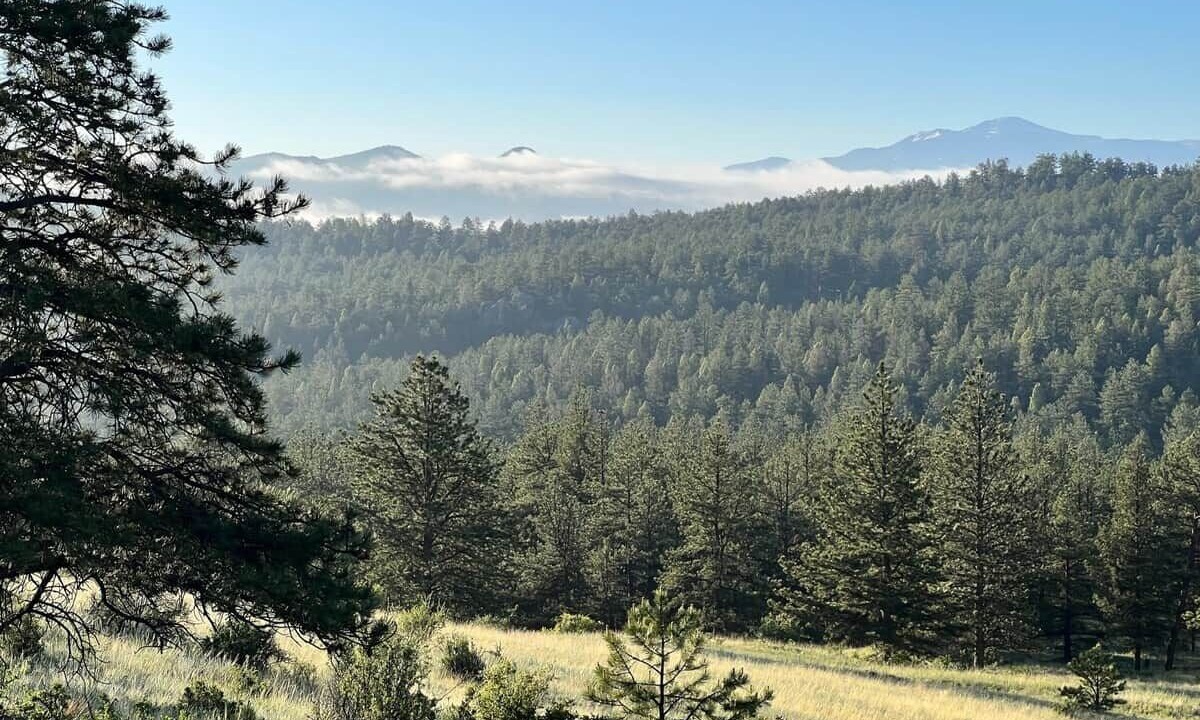 Photo of Others in Lake George