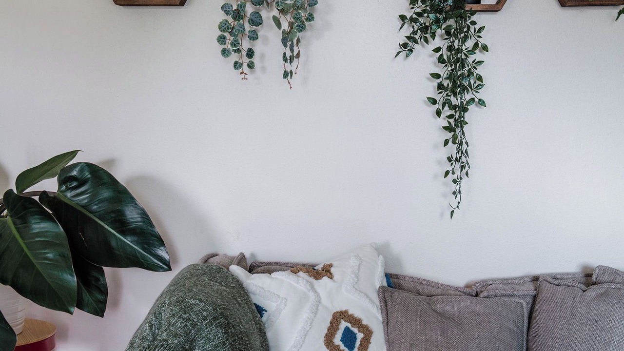 Photo of Livingroom in South Westminster