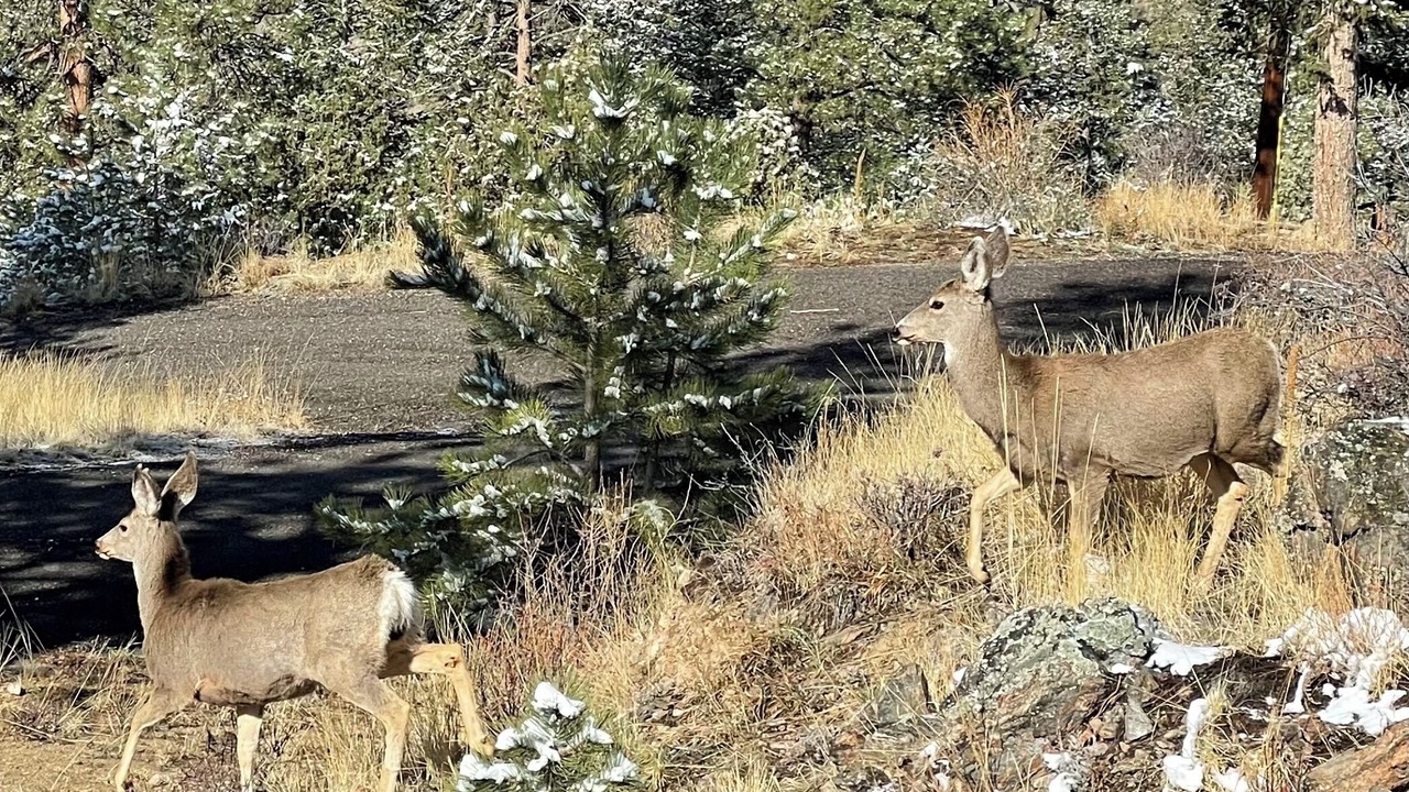 Photo of Outdoor in Bailey