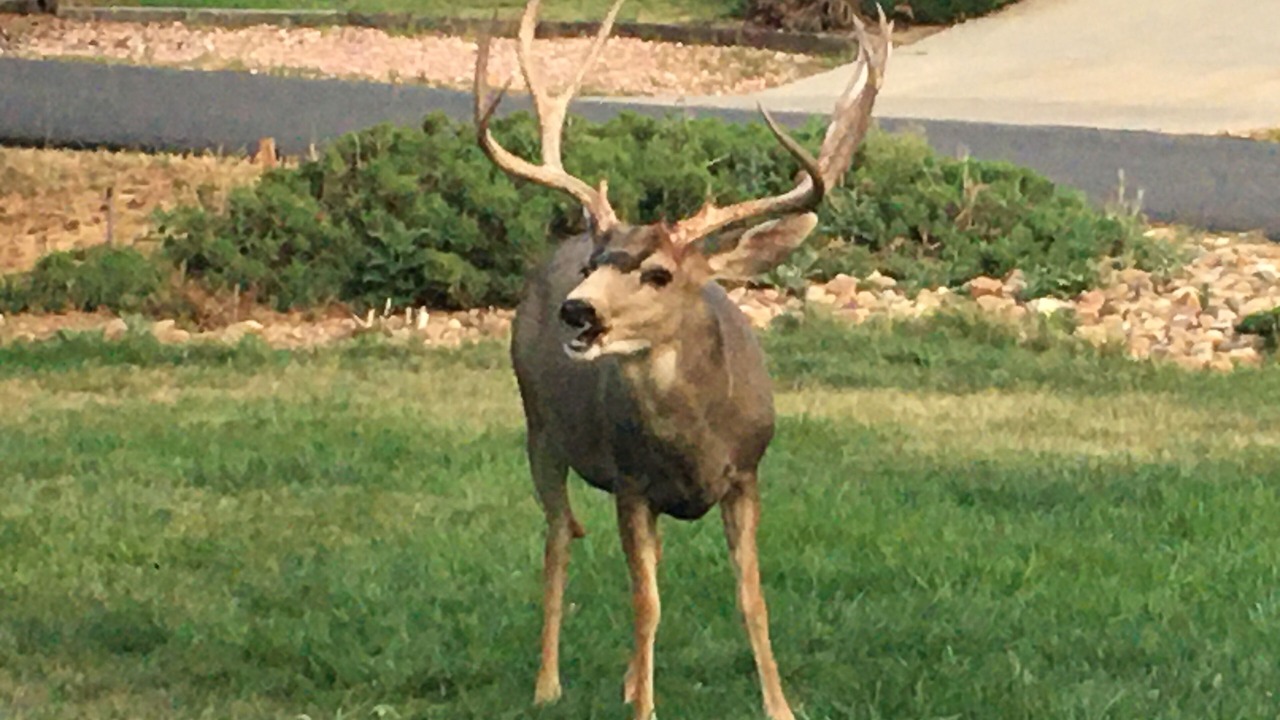 Photo of Outdoor in The Pinery
