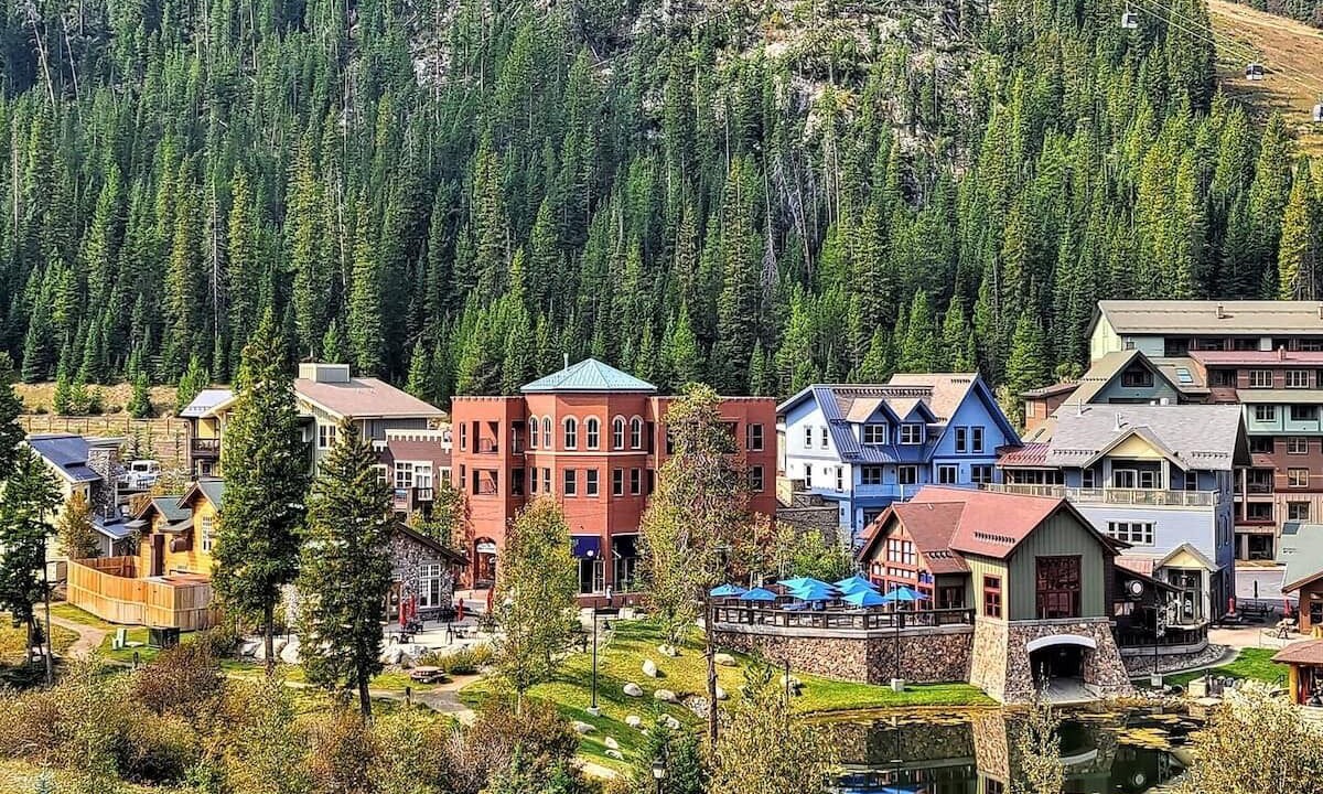 Photo of Others in Fraser
