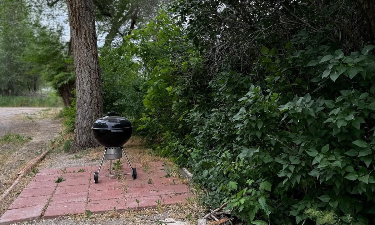 Photo of Outdoor in Craig