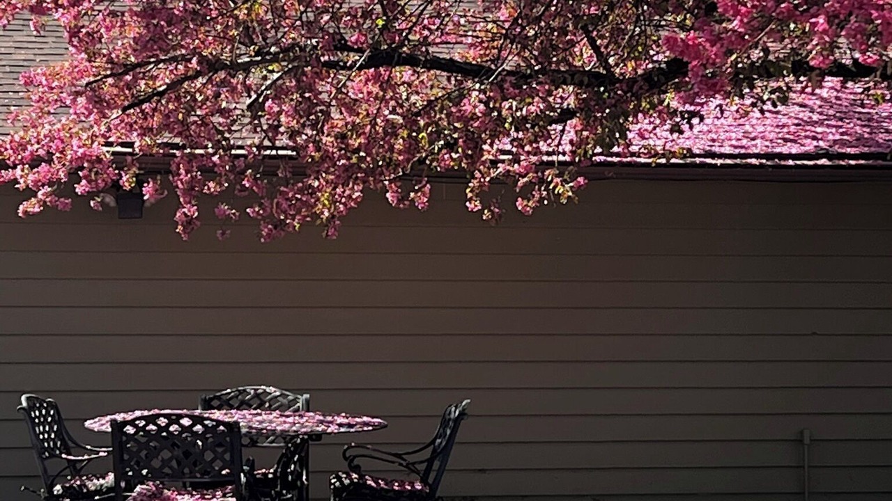 Photo of Outdoor in Morse Park