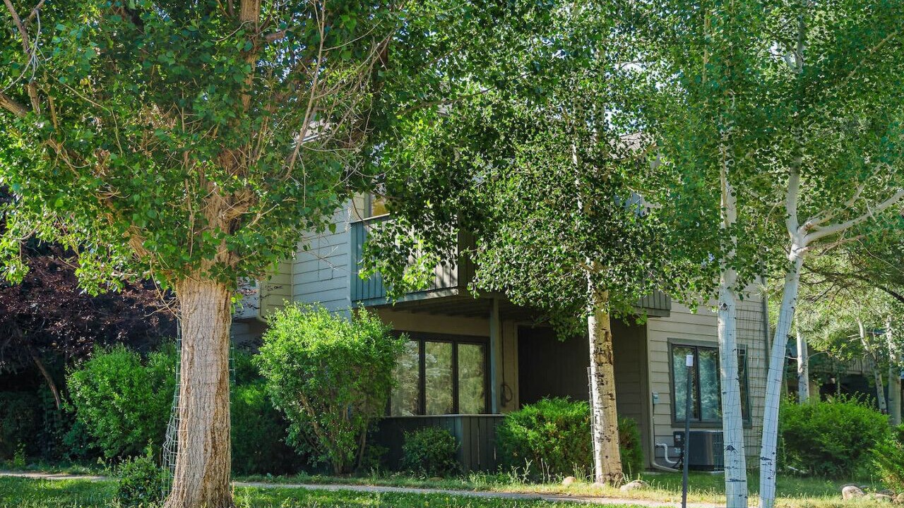 Photo of Outdoor in Estes Park
