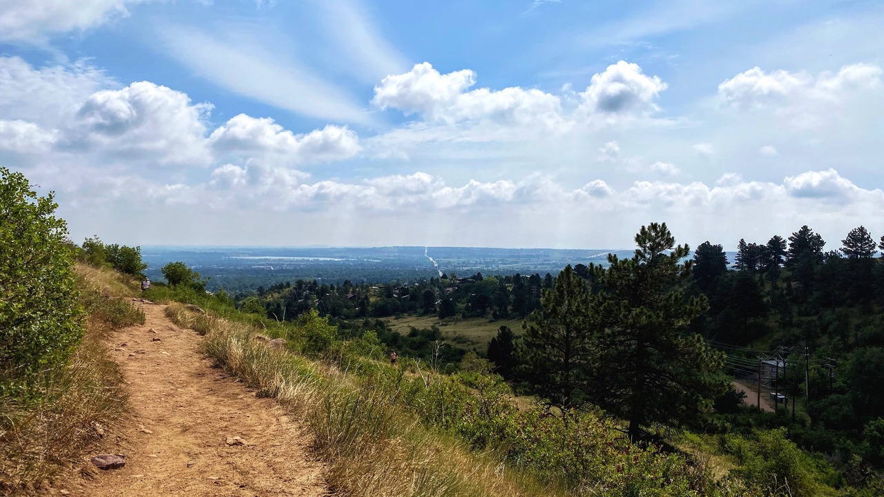 Photo of Outdoor in Martin Acres