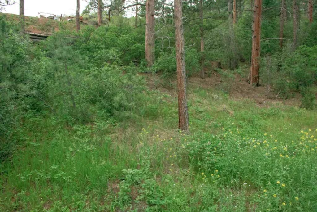 Photo of Outdoor in Cascade