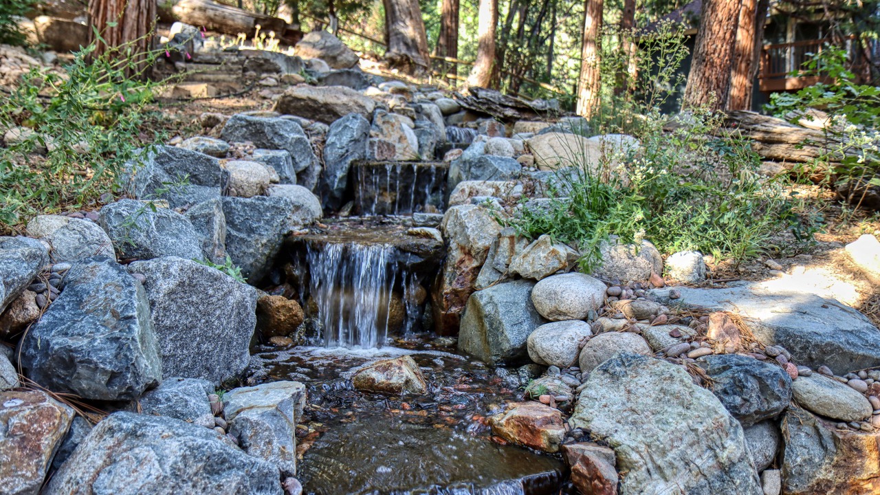 Photo of Others in Lake Arrowhead