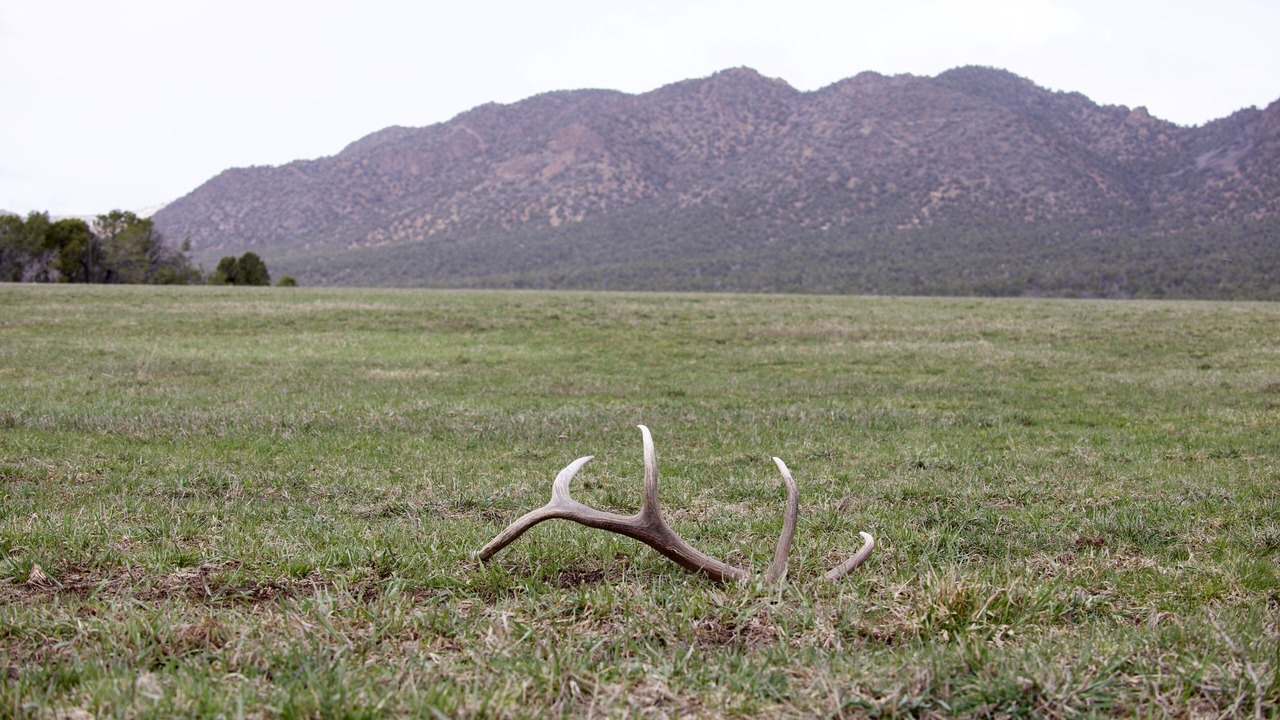 Photo of Others in Montrose