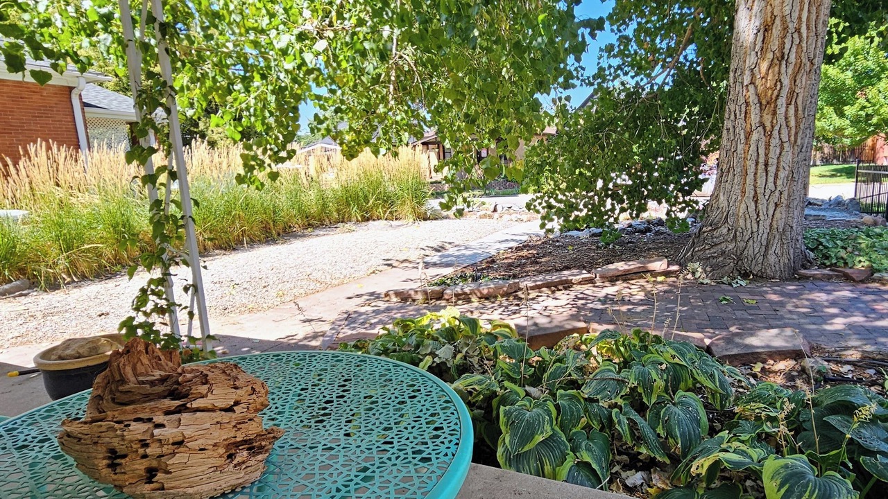 Photo of Outdoor in Sunnyside