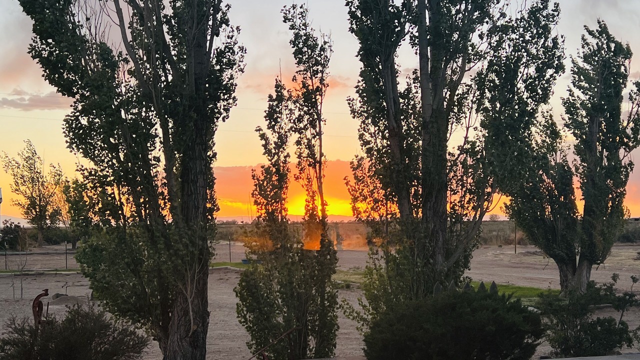 Photo of Others in Blanca