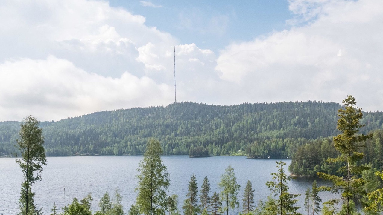 Photo of Others in Koli National Park