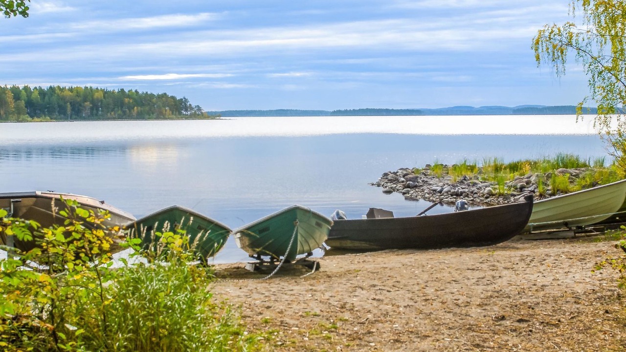 Photo of Others in Koli National Park