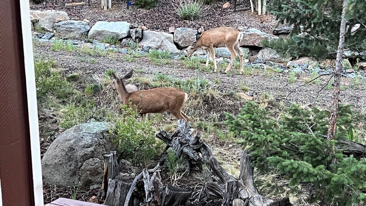Photo of Others in Estes Park