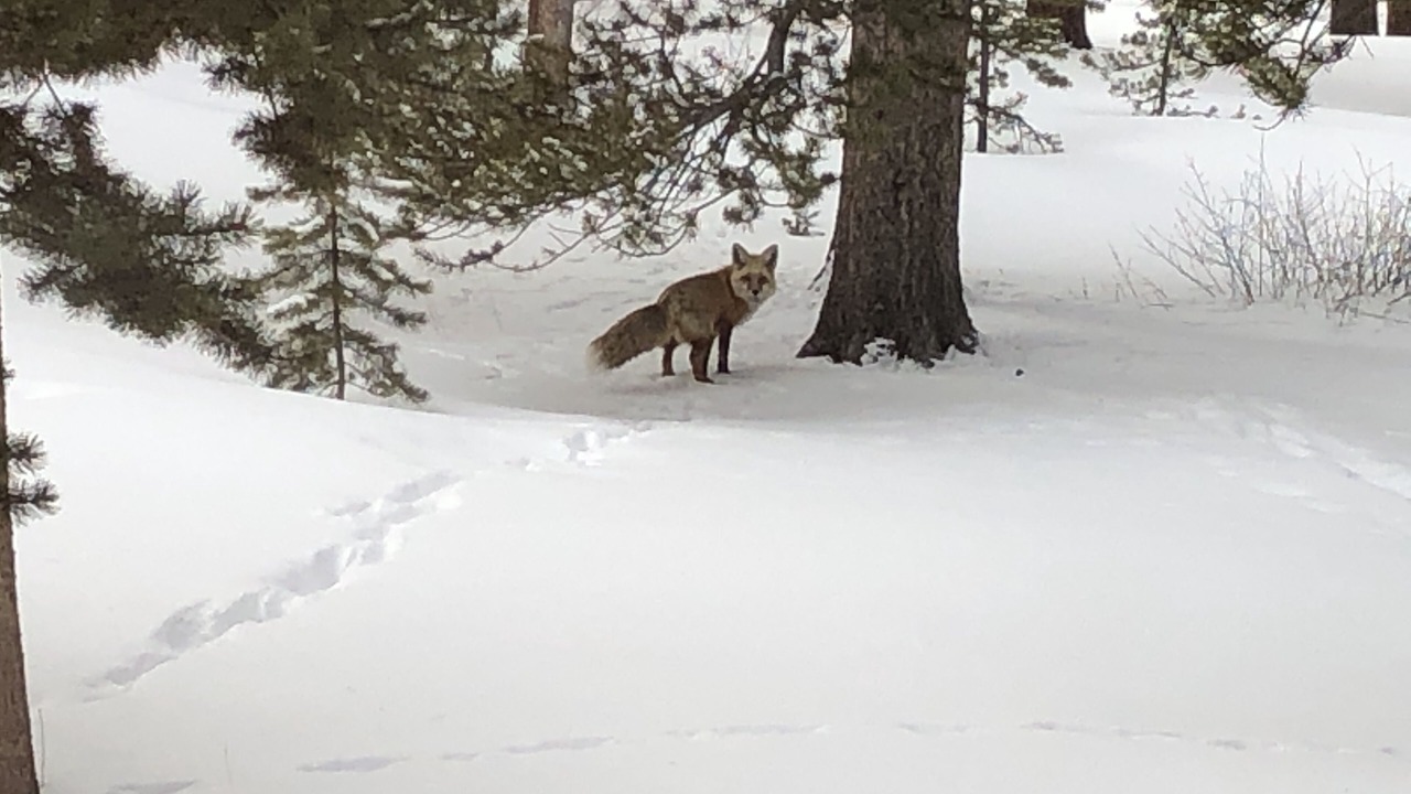 Photo of Others in Winterwood