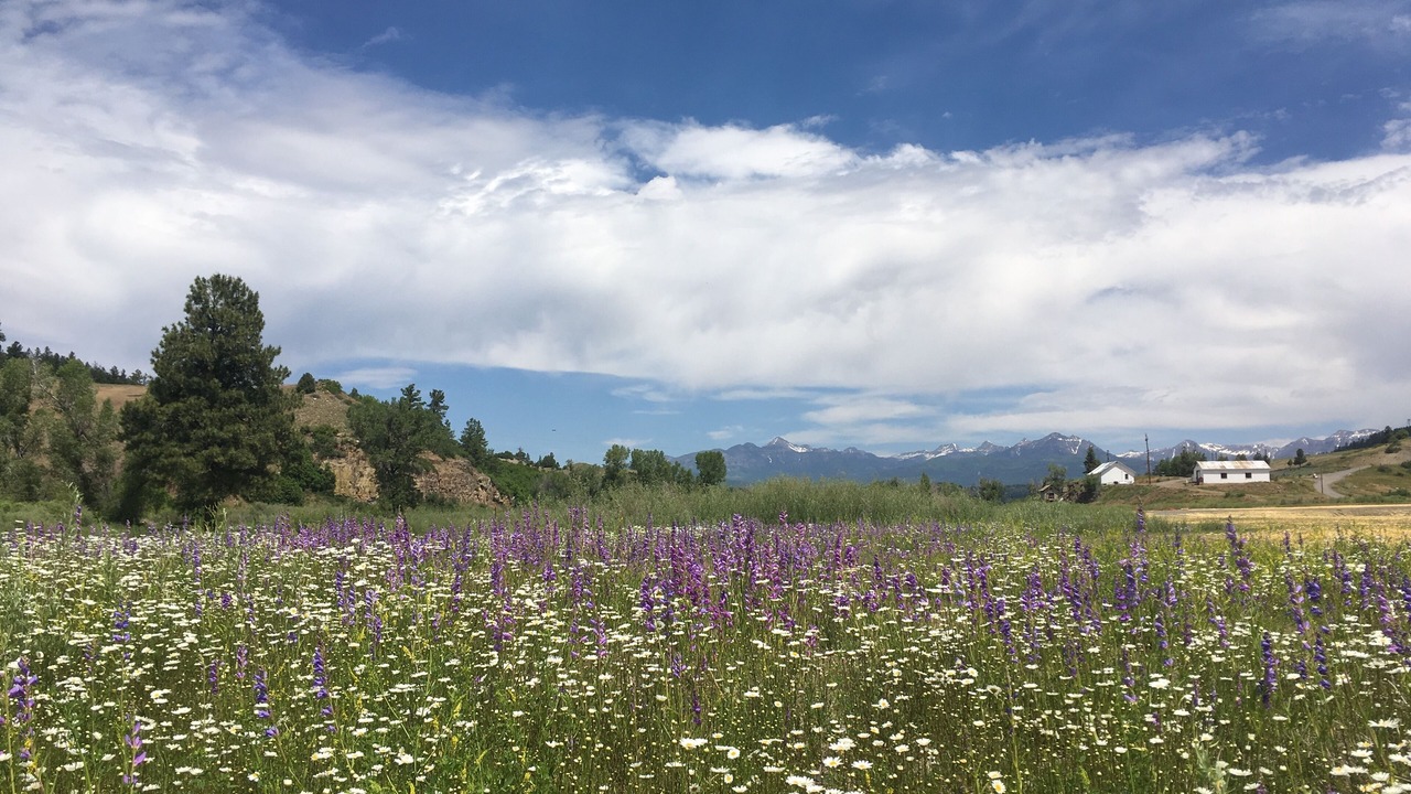 Photo of Outdoor in Pagosa Springs