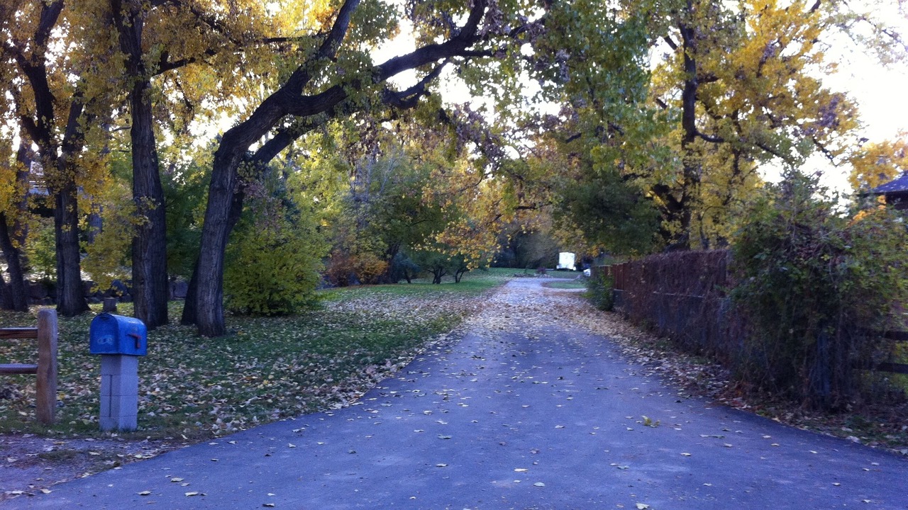 Photo of Outdoor in Lakewood