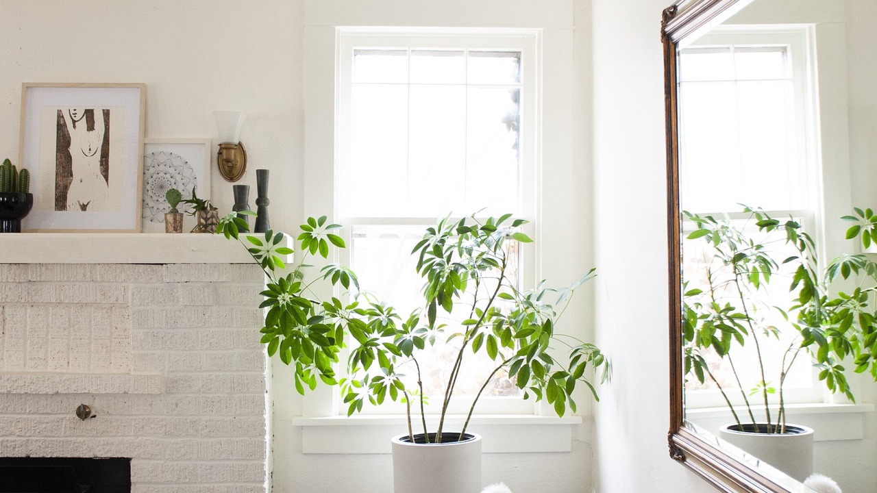 Photo of Livingroom in Downtown