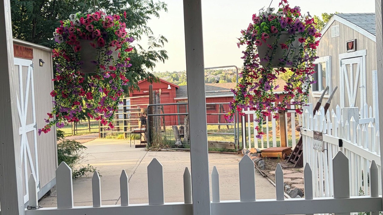 Photo of Patio Balcony in Centennial