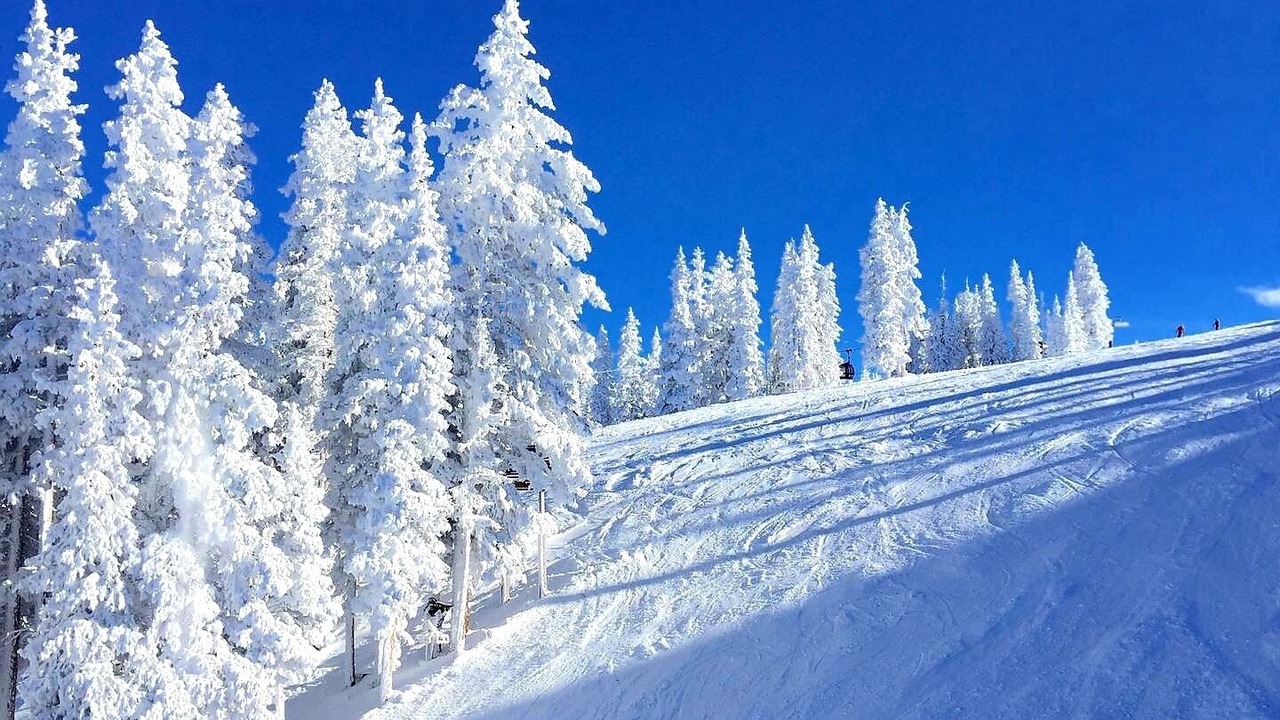 Photo of Others in Aspen