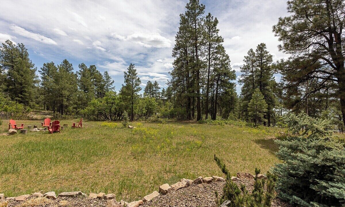 Photo of Others in Lake Pagosa Park