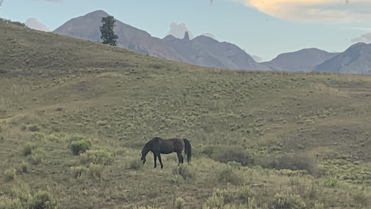 Photo of Others in Telluride