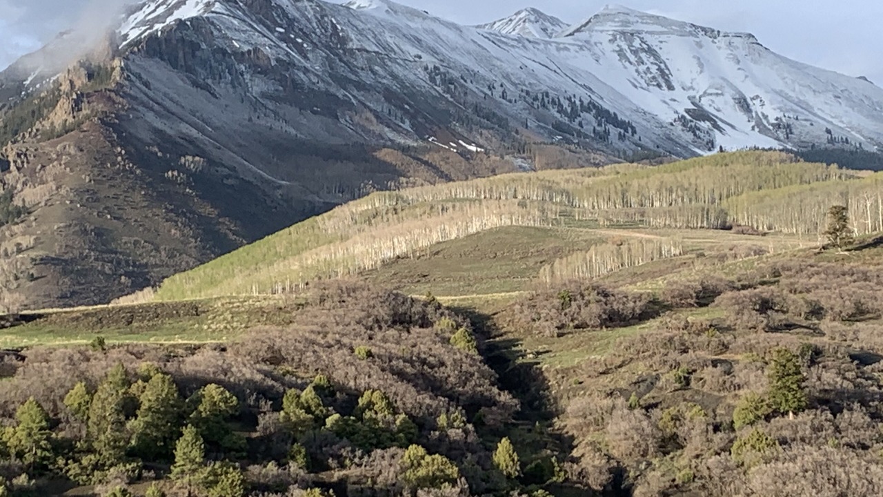 Photo of Others in Telluride