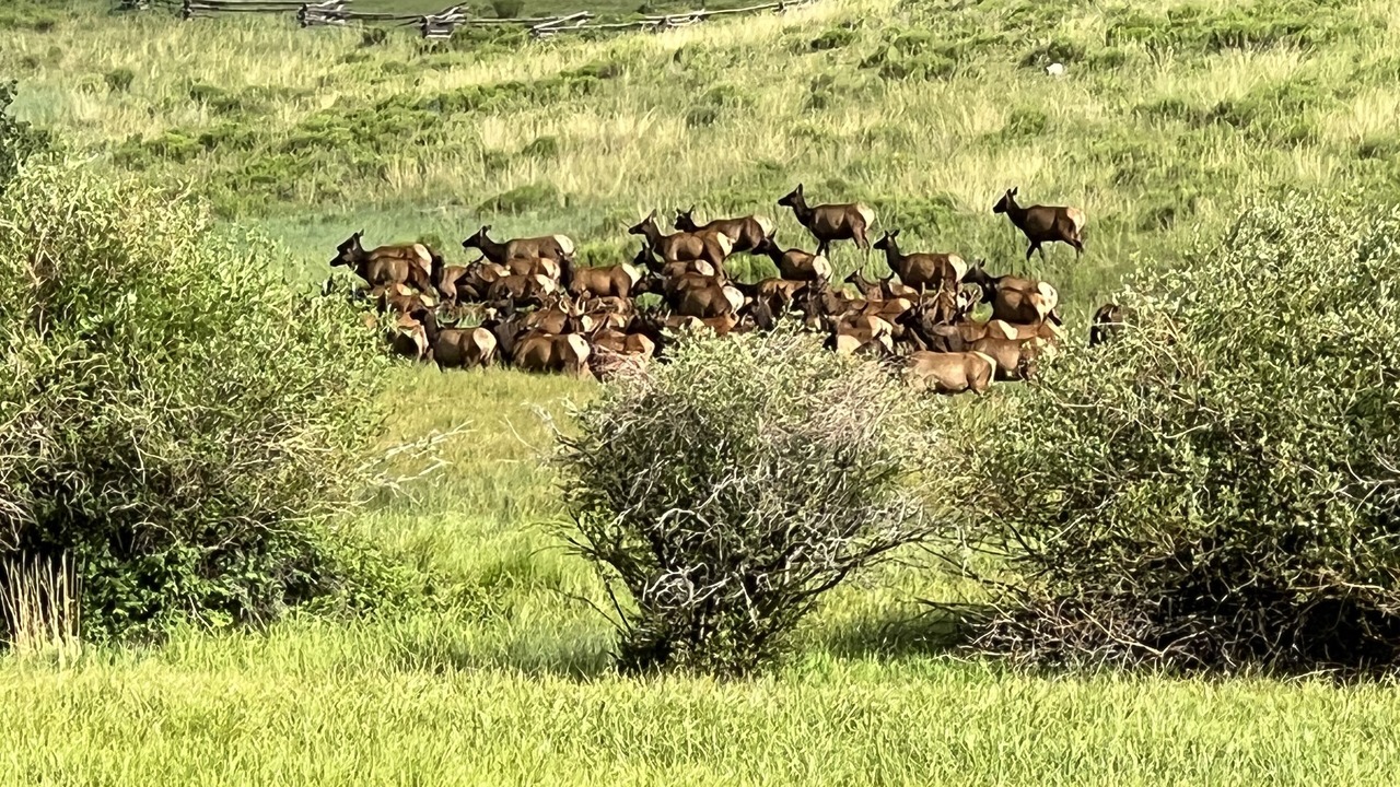 Photo of Others in Telluride