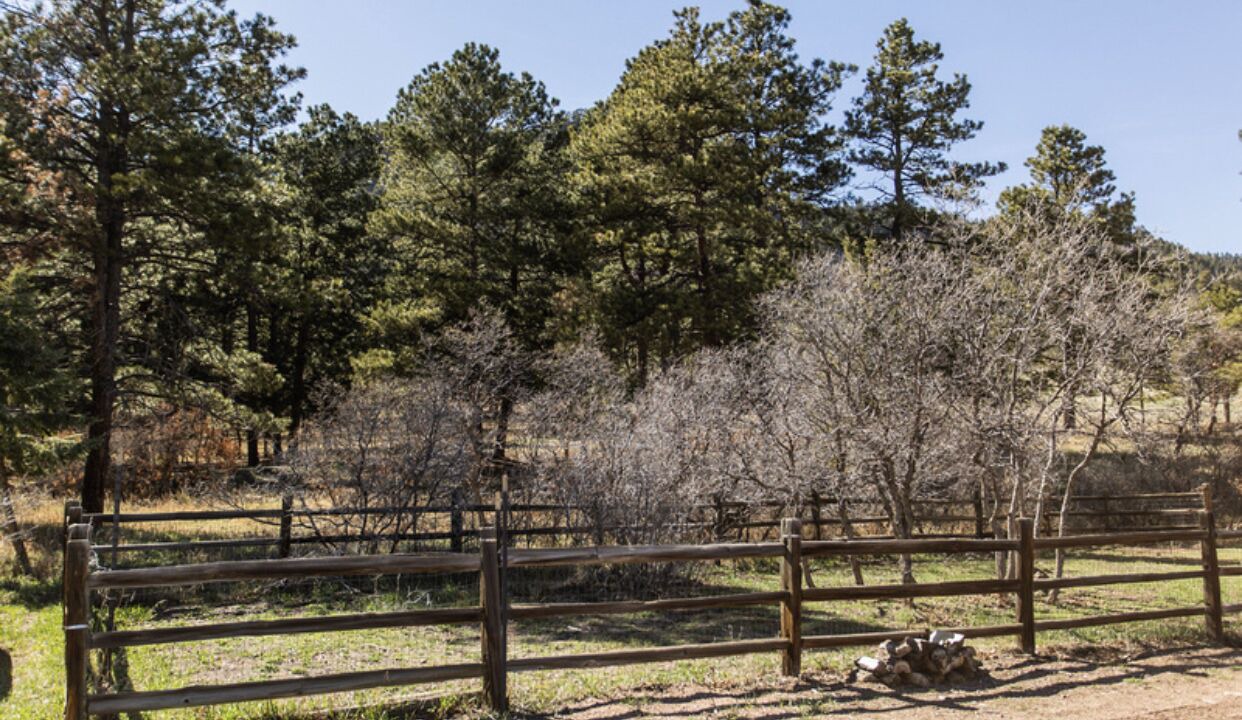 Photo of Outdoor in Larkspur