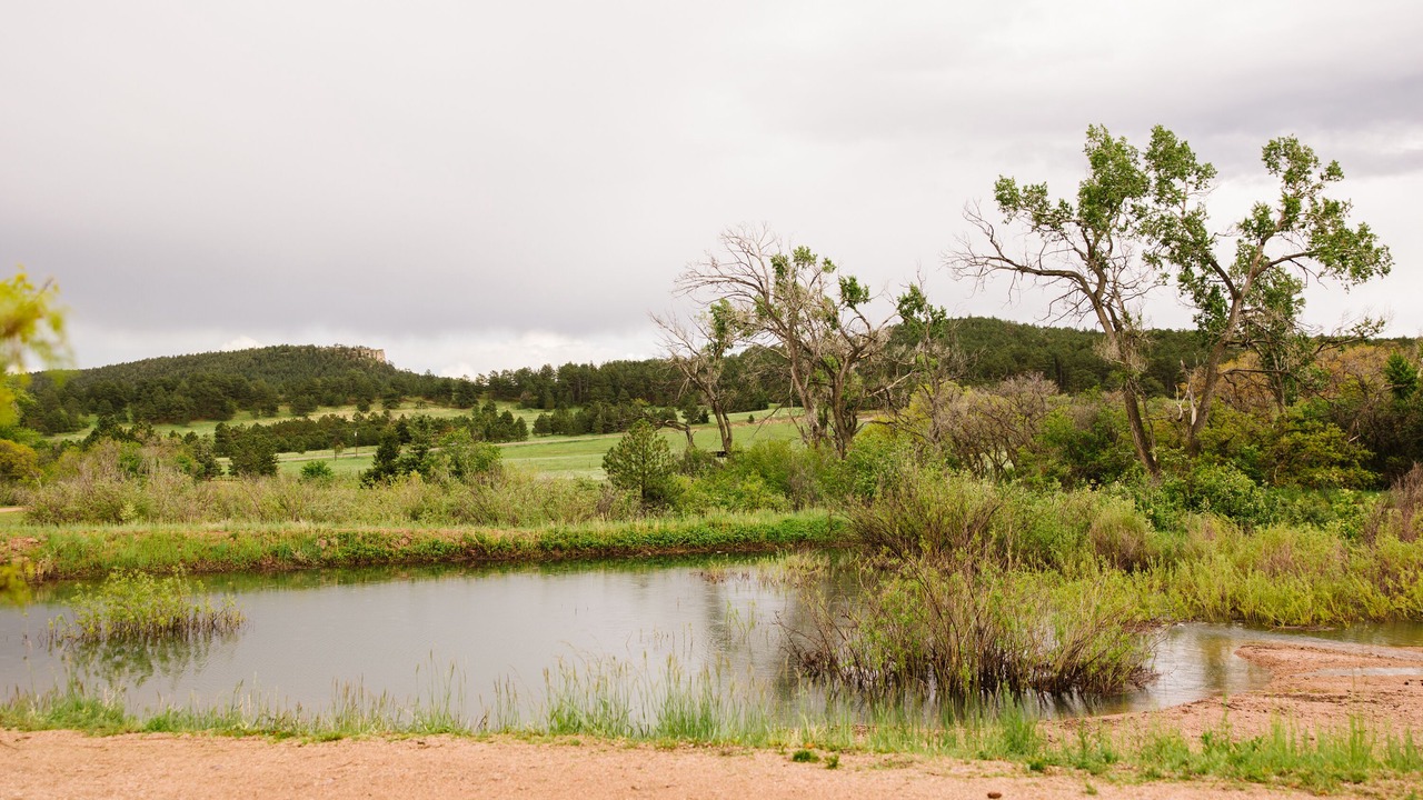 Photo of Outdoor in Larkspur