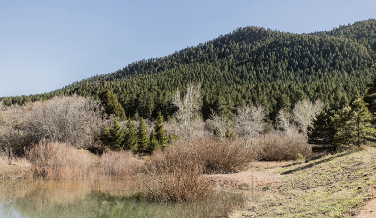 Photo of Outdoor in Larkspur