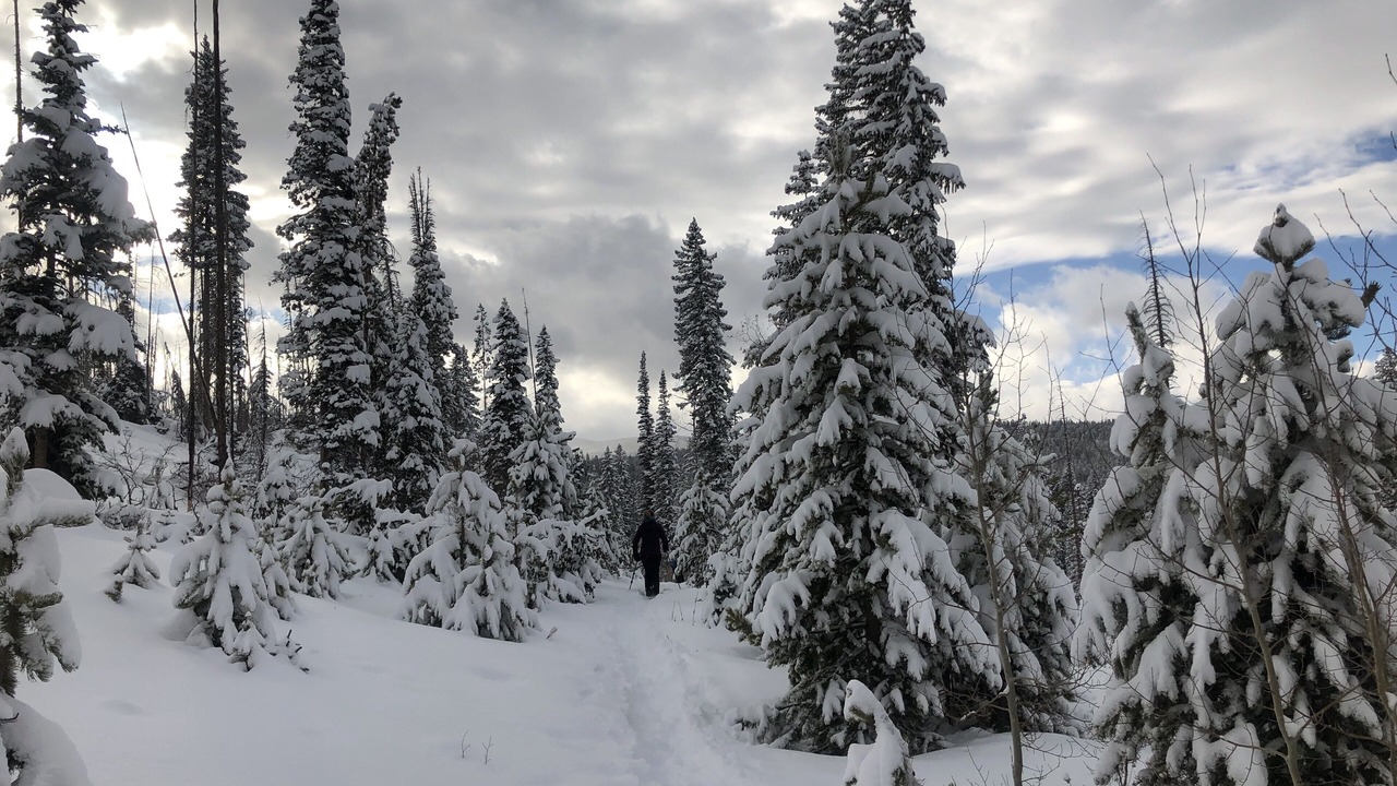 Photo of Others in Winter Park