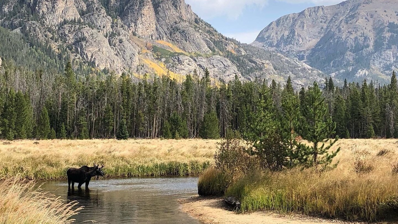 Photo of Others in Grand Lake